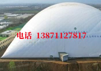 卢氏气膜棚卷帘门,电动门